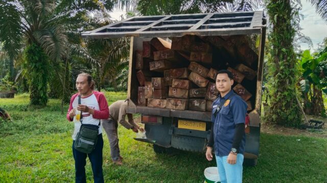 Bawa Kayu Ilegal, Warga Merangin Dibekuk Polisi. foto, Jambi Independent