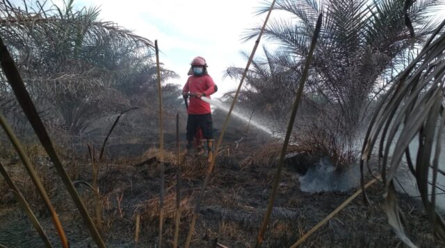 55 Desa dan 12 Kelurahan di Batanghari Rawan Karhutla