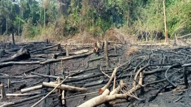 karhutla di batanghari